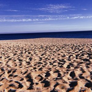 Meet your Posher, Buy pls